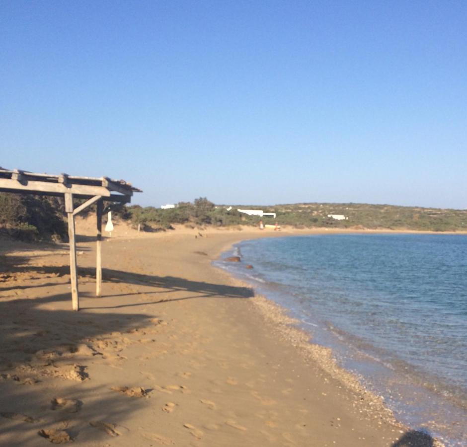 La Maison D'Helene Zambujeira do Mar Dış mekan fotoğraf