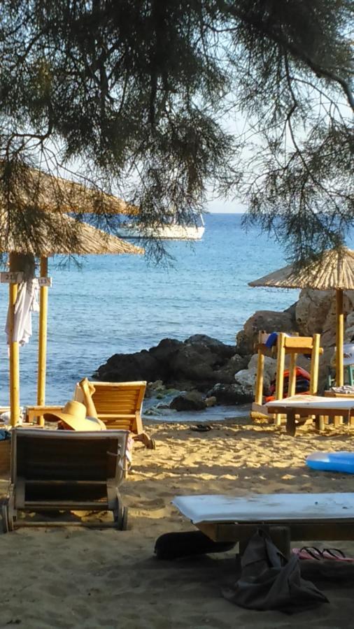 La Maison D'Helene Zambujeira do Mar Dış mekan fotoğraf