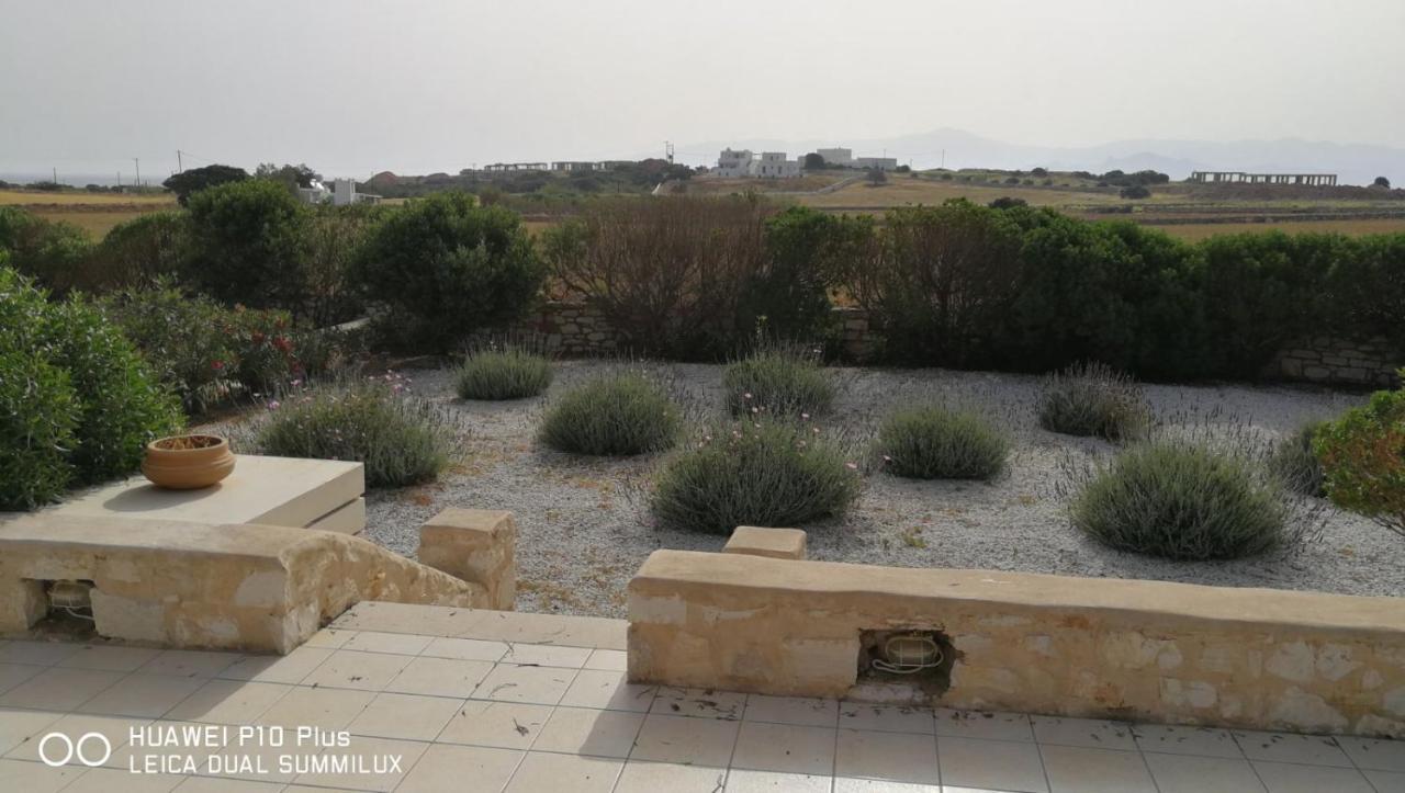 La Maison D'Helene Zambujeira do Mar Dış mekan fotoğraf