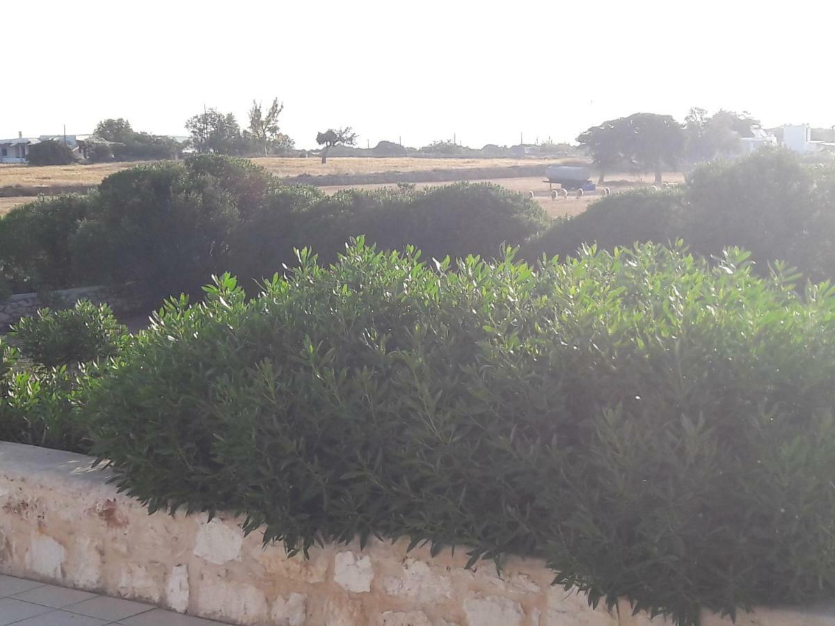 La Maison D'Helene Zambujeira do Mar Dış mekan fotoğraf